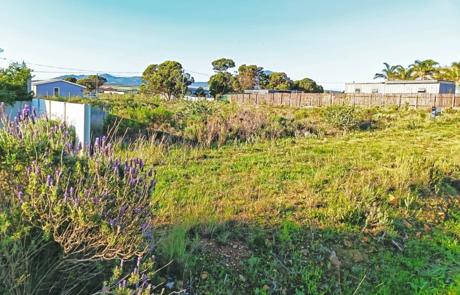 0 Bedroom Property for Sale in Fisherhaven Western Cape